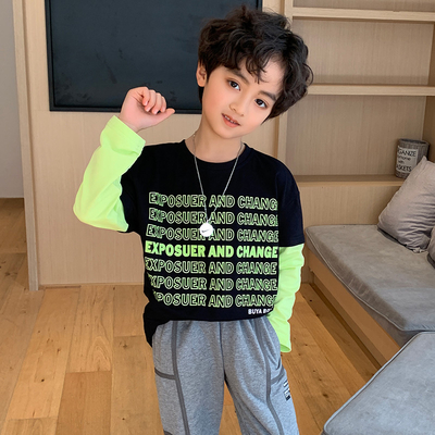 Leisure Fake Two Piece Boys T Shirt Multi Color