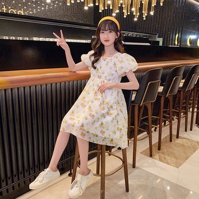 Girls Summer Floral Childrens Dress Clothes Pink Chiffon Korean Version